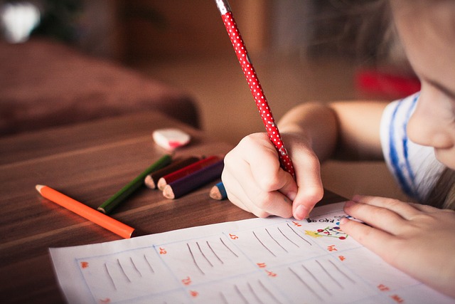 Essentiële schoolspullen: van schoolboeken en schrijfwaren tot elektronische apparaten en tassen